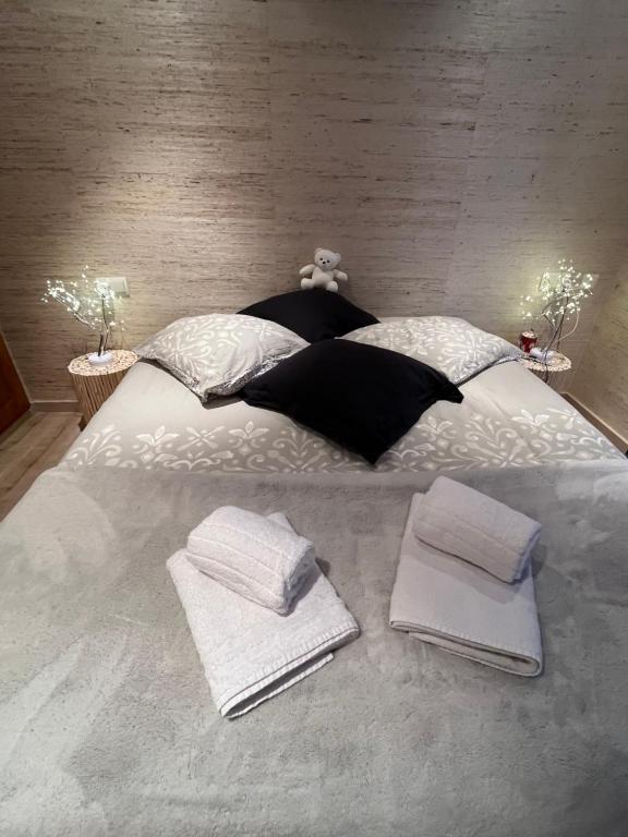 Charme et confort au pied des pistes - 2