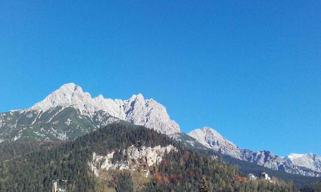 Gasthof Hubertus - 4