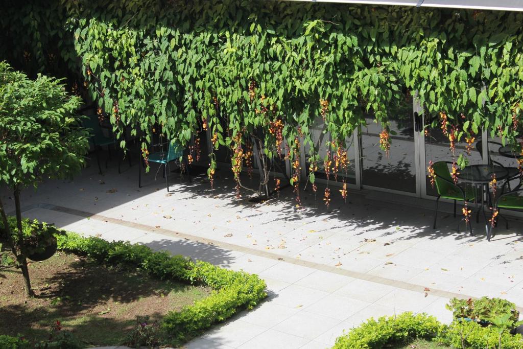 Surrounding environment