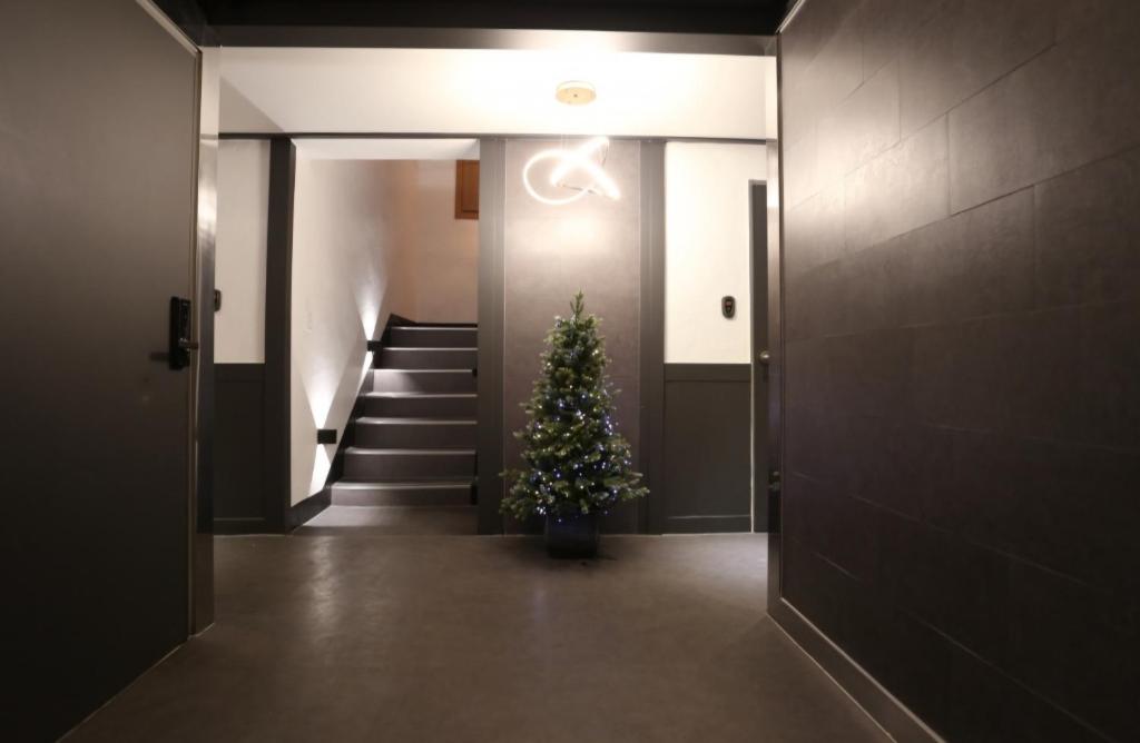 신림 유호텔 Seoul Sillim U Hotel – 고양이와 보드게임이 있는 힐링 숙소