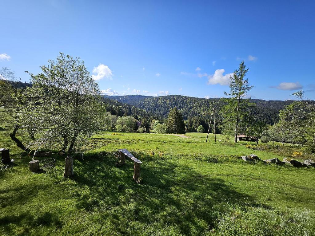 Chalet Perle des Hauts - 3