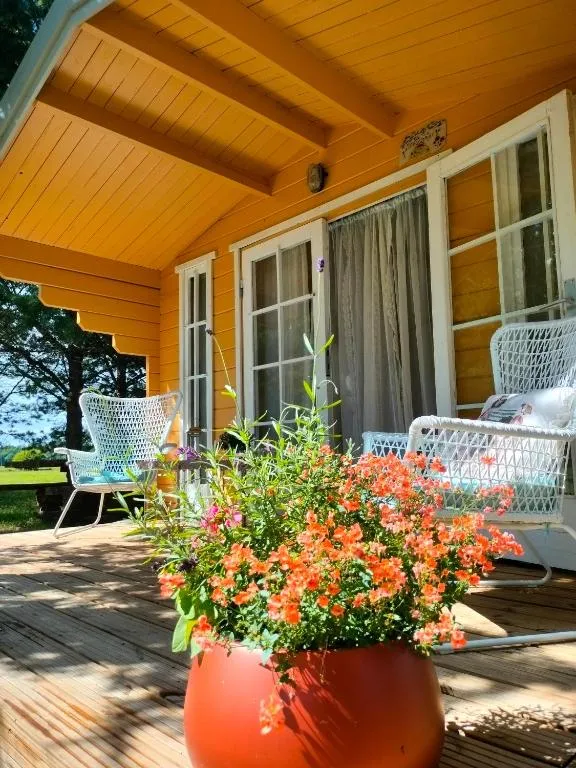 Metsatuule puhkeküla, hotel v destinaci Hiiumaa