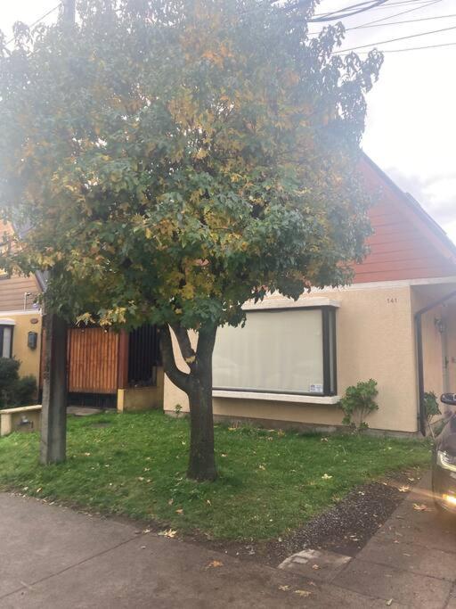 Cómoda casa en el Avellano - 2