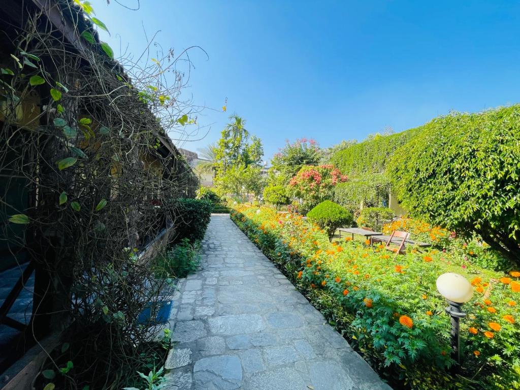 Travellers Jungle Camp-Sauraha, Sauraha