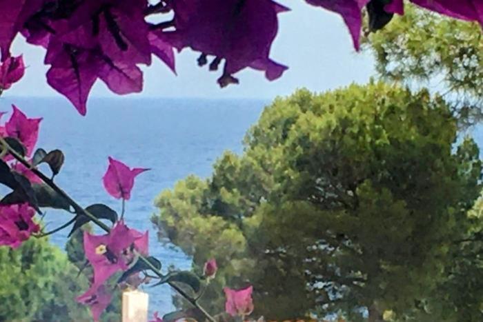 LETS HOLIDAYS House beach in Cala Salions - 1