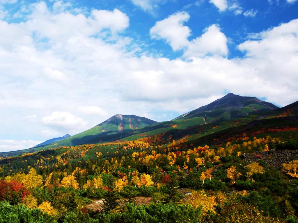 Activités à proximité