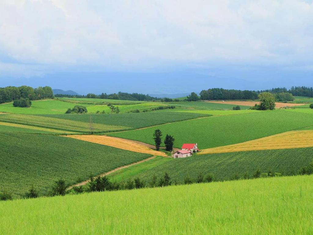 Activités à proximité