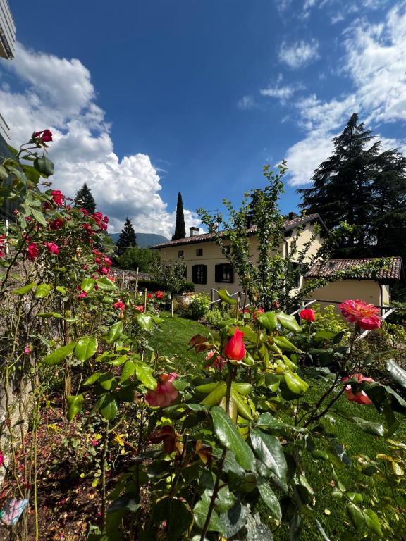 B&B Ca'rina - 3
