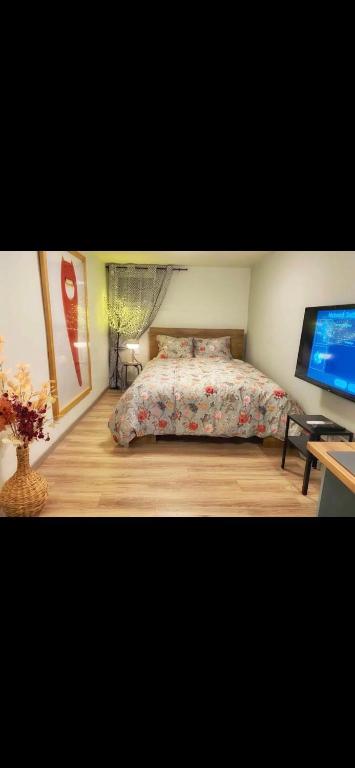 Lovely one bedroom apartment - 5