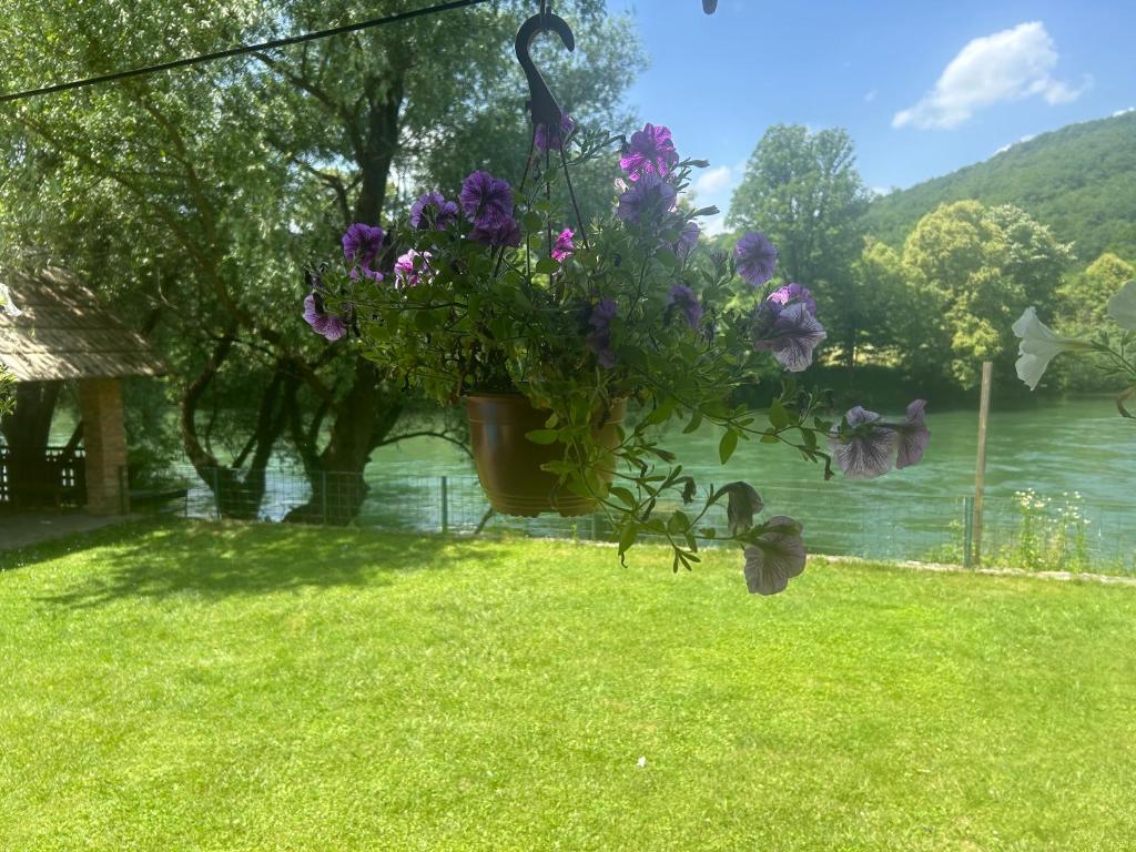 "River paradise" Vikendica sa bazenom, ladarom i kaminom na samoj obali Vrbasa Banja Luka - 2