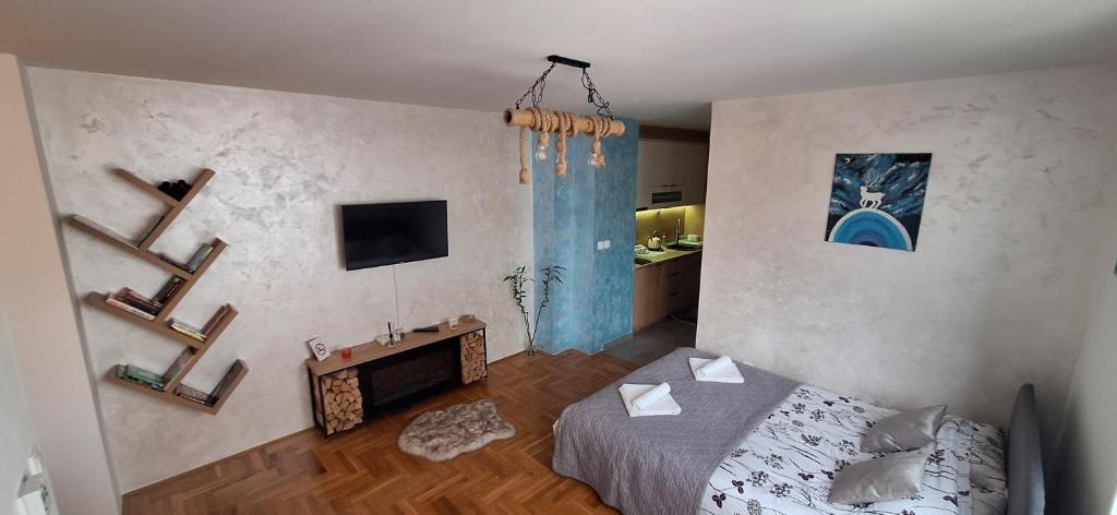 Apartman Srna Pale - 2