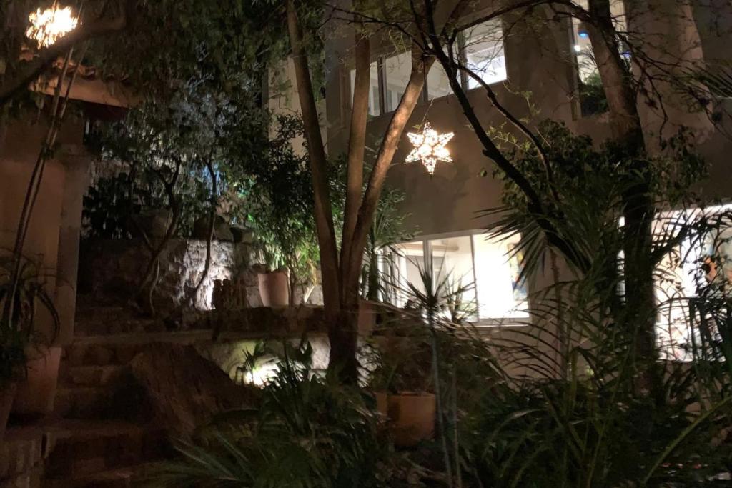 Perfect get away walking distance to centro - 5