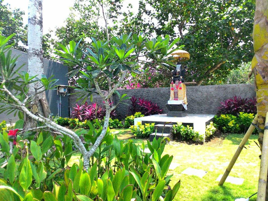 アクティビティ