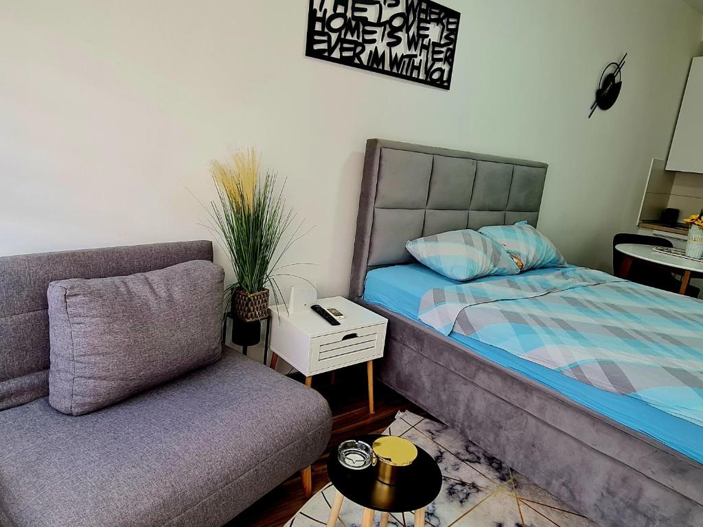 Babuska studio, Jagodina