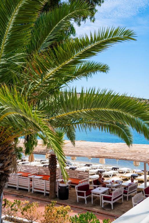 マニュエラ ホテル ビテス (Manuela Hotel Bitez)