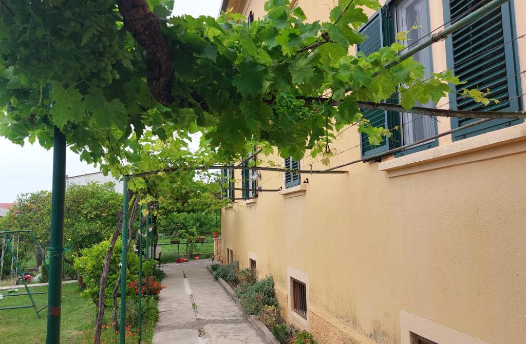 Grape Escape Apartments, Kaštela