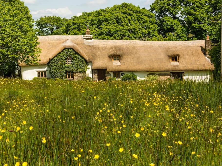 Hay Meadow Farm, Cosy Thatched Holiday Cottage, Beaworthy