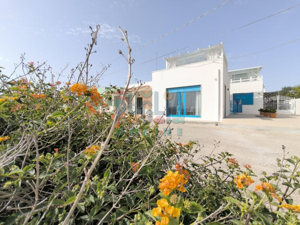 La Corte sul Mare Puglia On line - 1