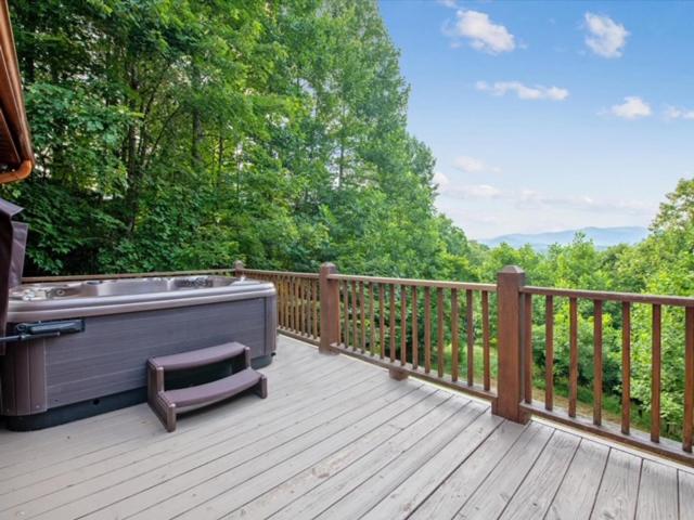 License 2 Chill, Mineral Bluff