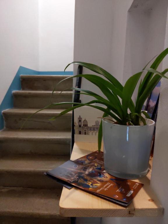 Mirabilia 2, Chioggia