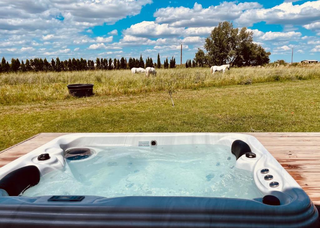 Lodge Sainte Sara - 5