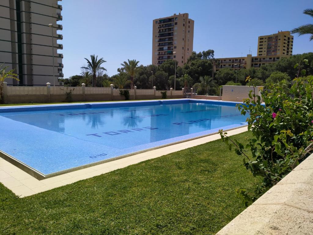 Estudio Paraiso - 2