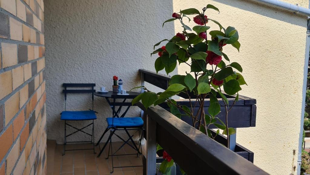 Appartement lumineux dans résidence calme et arborée - 5