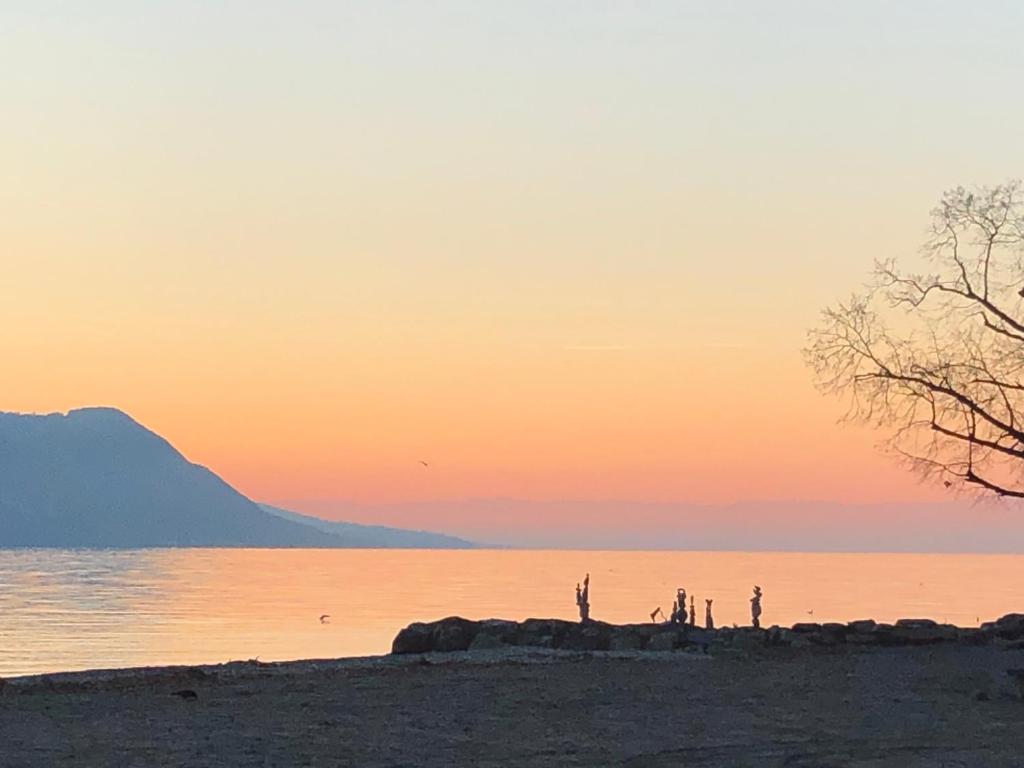 Petit Paradis Riveria, Montreux