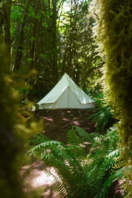 Wander Camp Olympic, hotel in Port Angeles