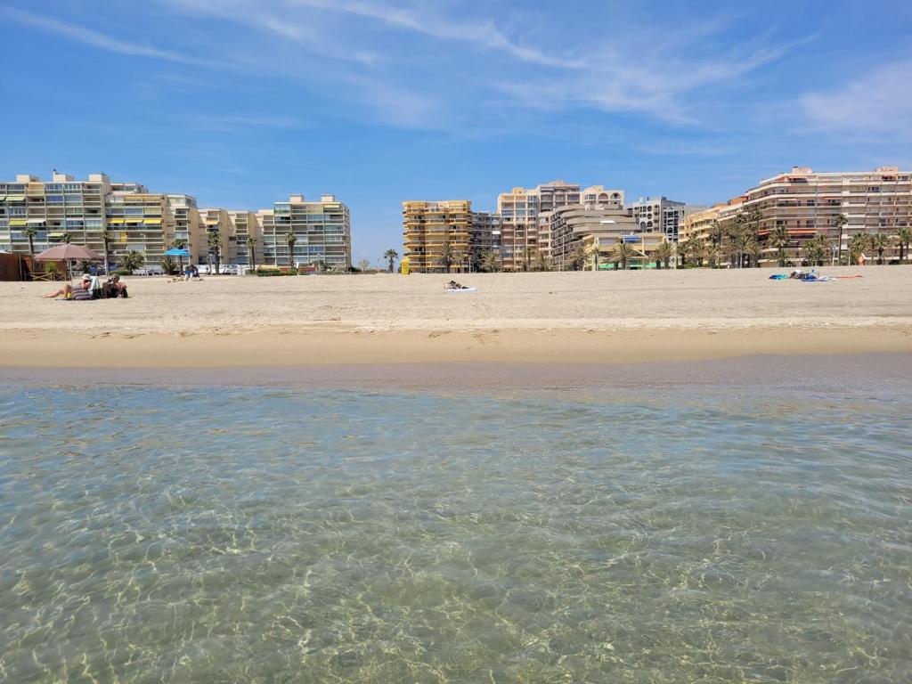Canet T2 rénové, 4 pers, terrasse, parking, WIFI - FR-1-794-107 - 2