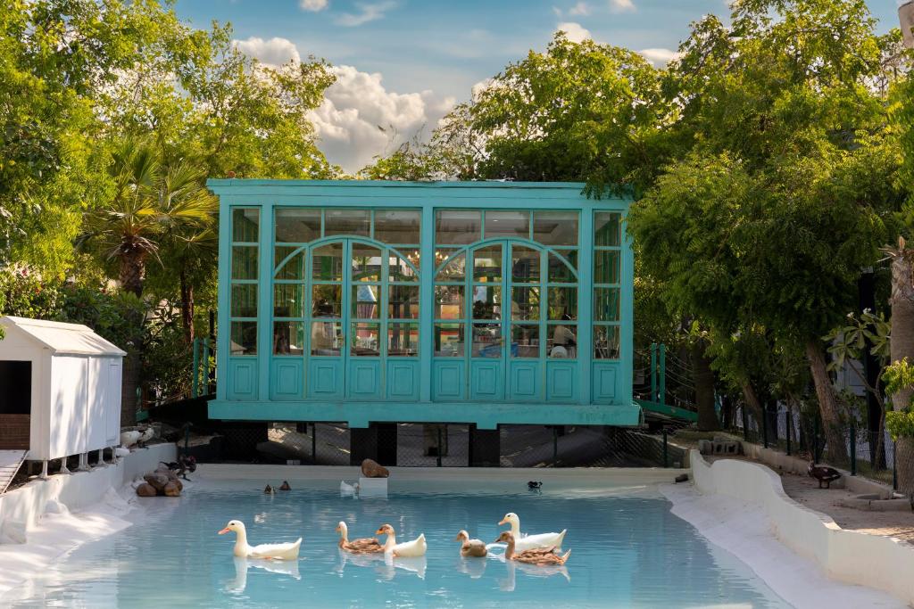 Surrounding environment, Nordic Resort in Ash Shamālīyah