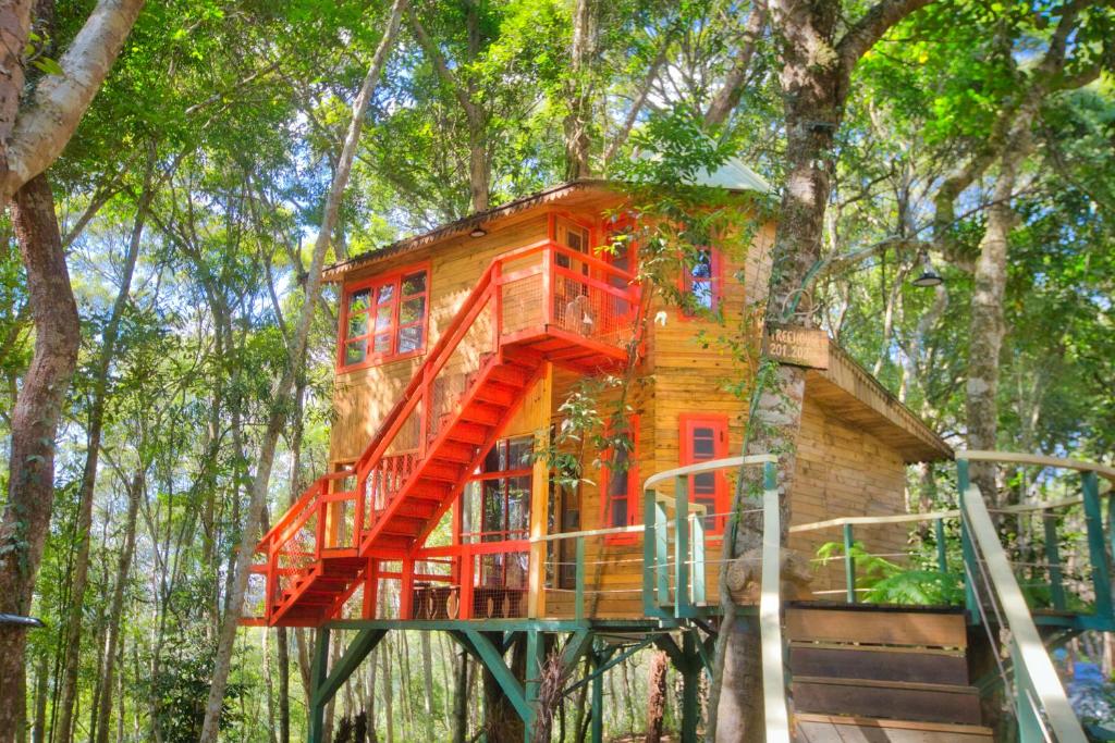 Măng Đen Treehouse Village Resort & Zipline