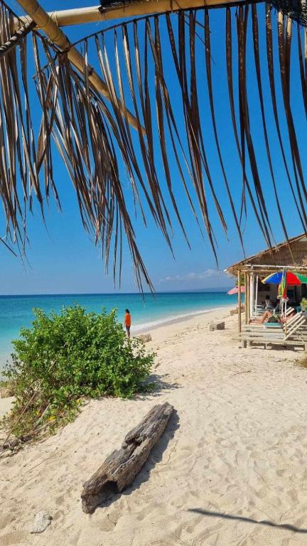 Uncle Hippie’s Dream