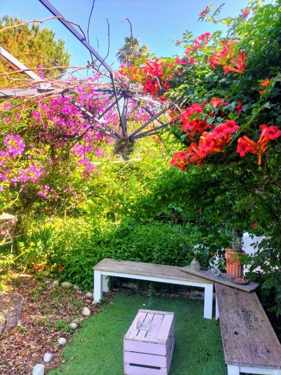 Attrezzature e servizi