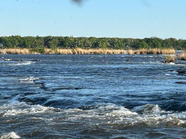 Walk on the riverside, Montreal