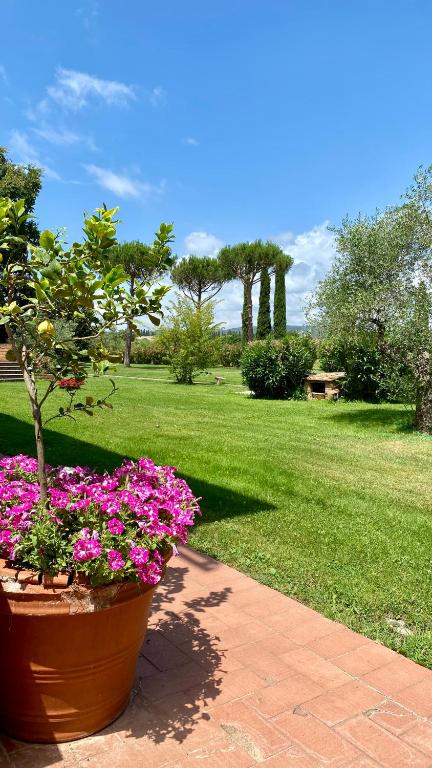 Fattoria Cirene - 4