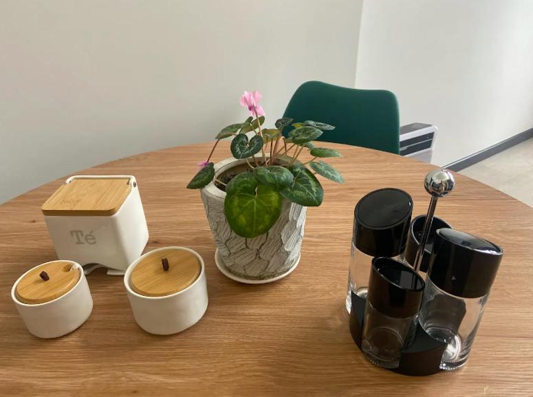 Vista panoramica lago y volcanes - 2