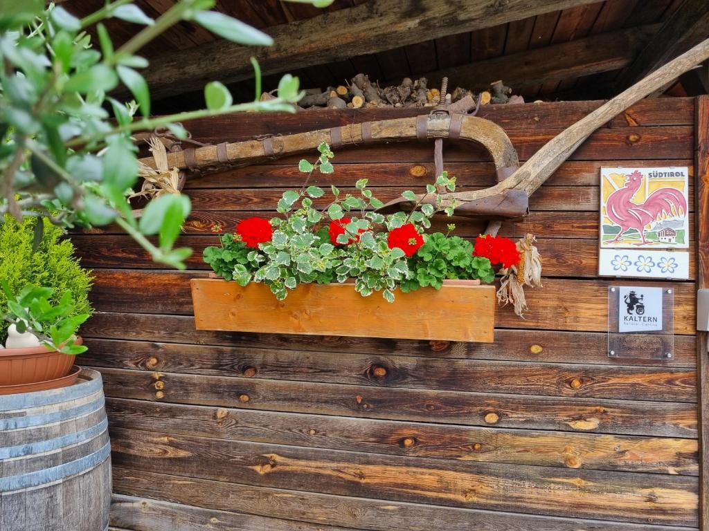 Urlaub auf dem Bauernhof Schmidhof - große Terrasse, Pool und beste Lage - 4