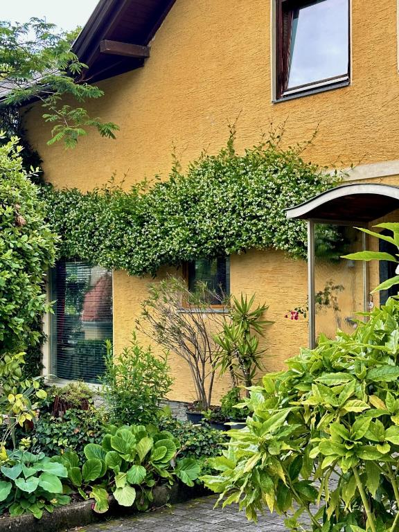 Haus Marianne - 5