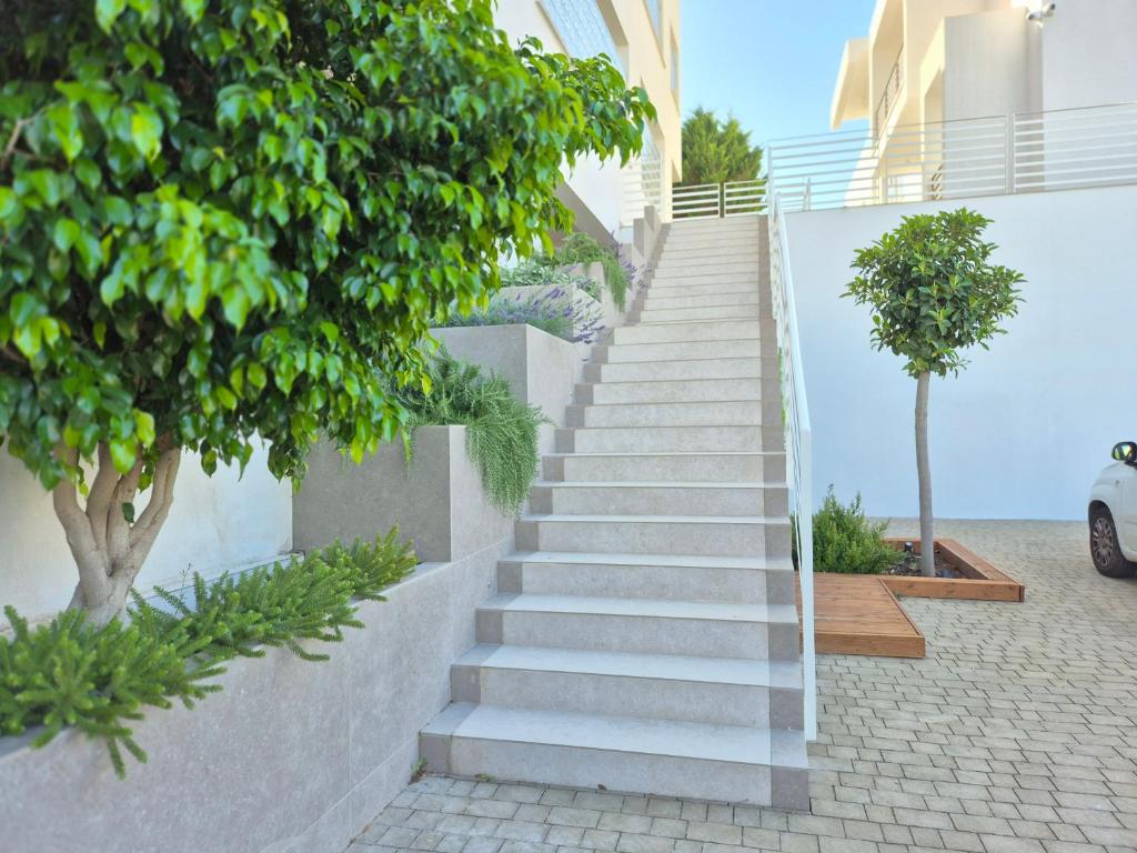 Casita Isabella - 4
