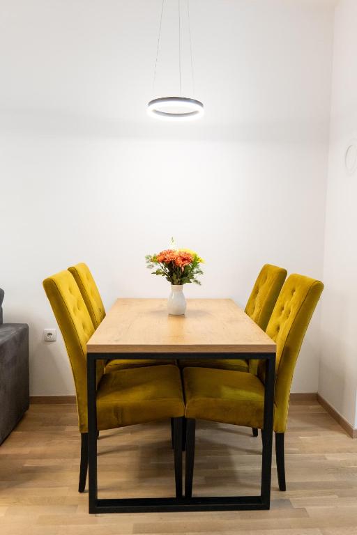 Drobac apartment - 4