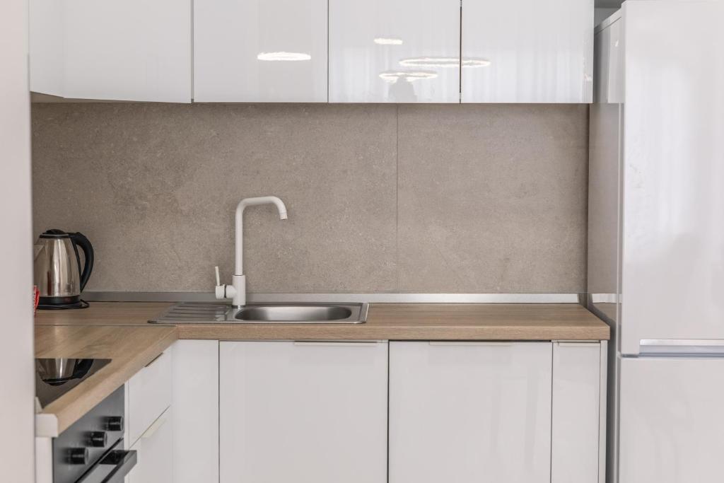 Drobac apartment - 5