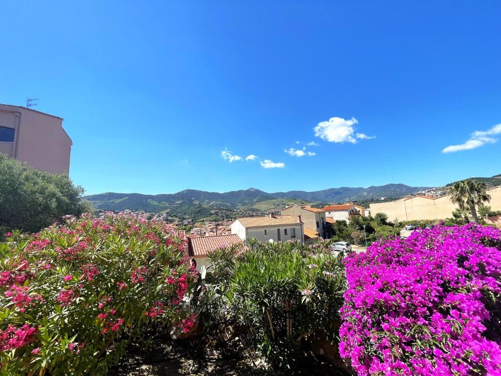 Charmant T2 avec terrasse entre plages à Banyuls-sur-Mer - FR-1-309-413 - 1