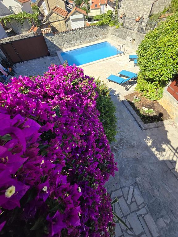 Villa Mara Lustica Bay Retreat near Kotor, Tivat - 4