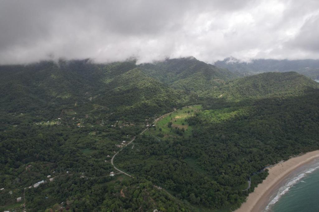 Surrounding environment