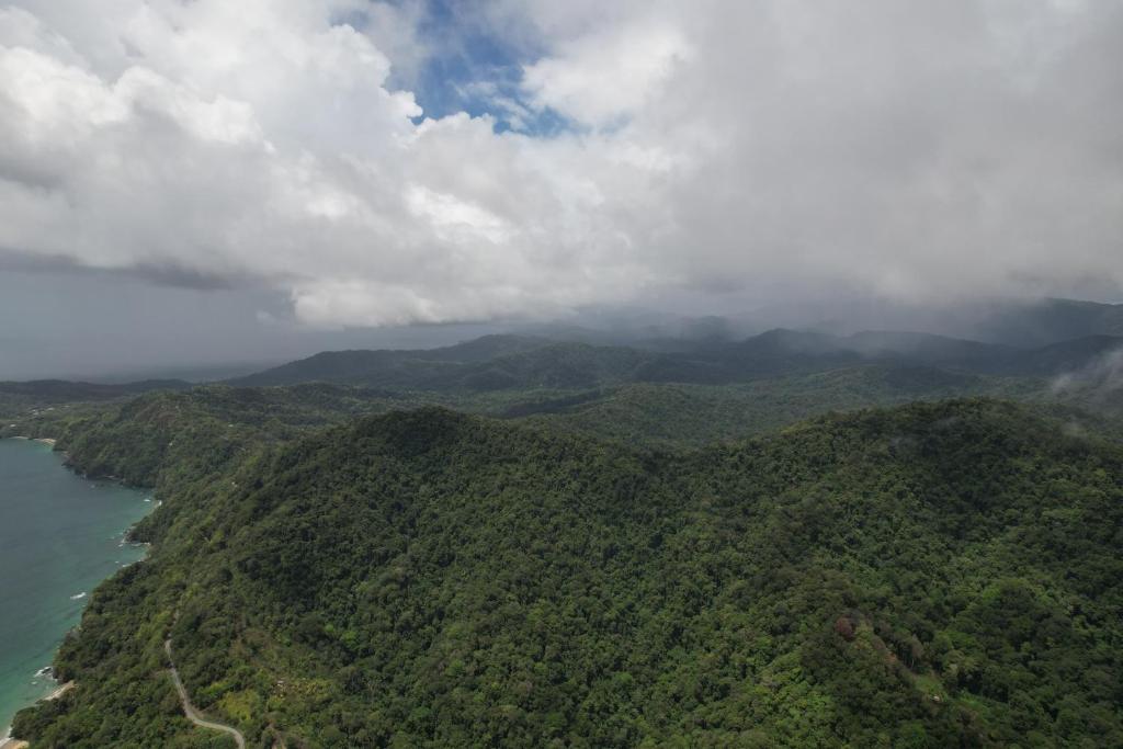 Surrounding environment