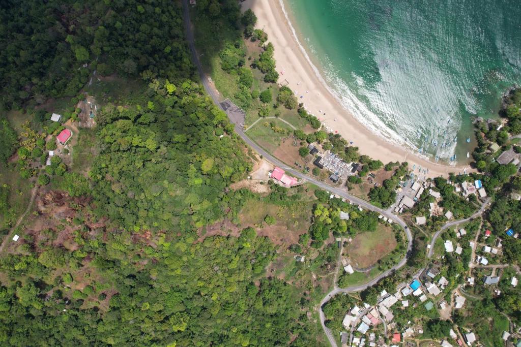 Surrounding environment