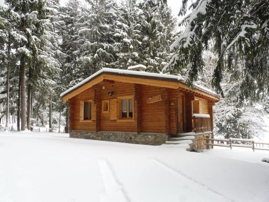 Chalet LES CLARINES - 2