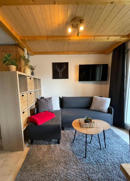 Ferienwohnung Gemmiblick - 4