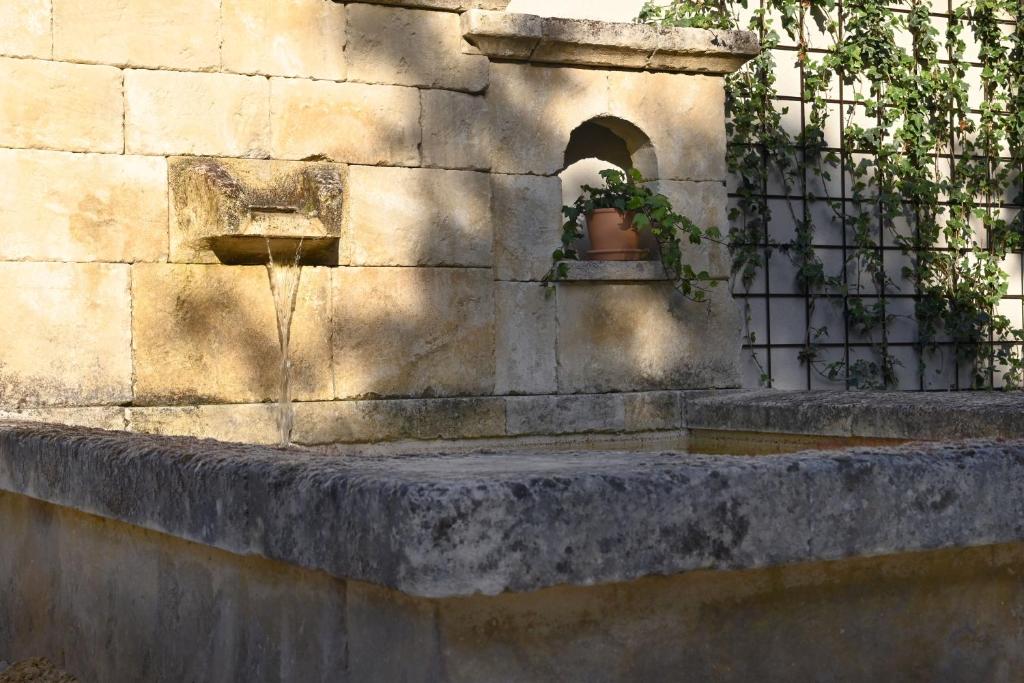 Super Promo Fantastique VILLA LE BRUSQUET au pied du mont Ventoux - 5